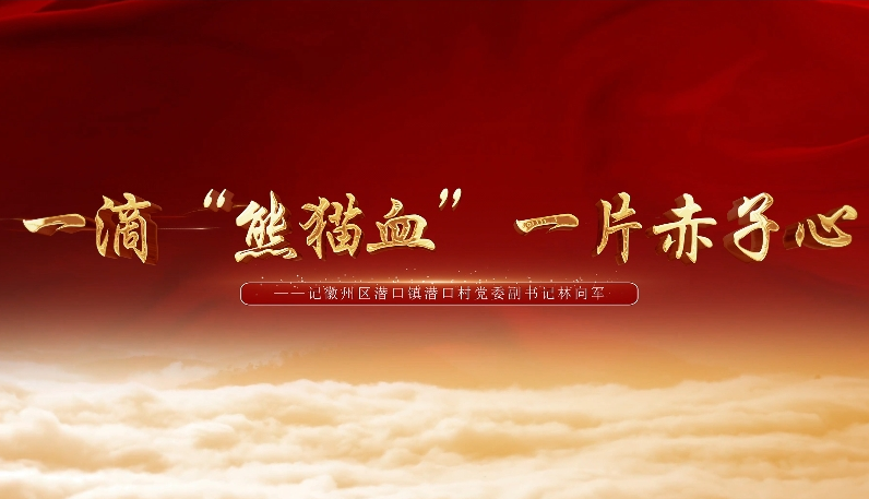 一滴“熊猫血” 一片赤子心