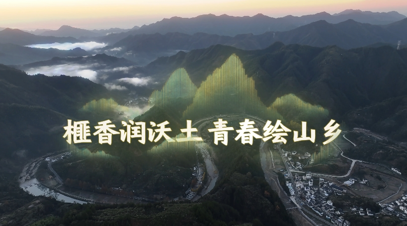 榧香润沃土 青春绘山乡