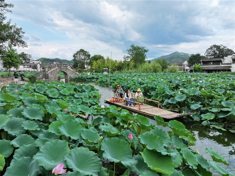 夏日乐游永兴湖